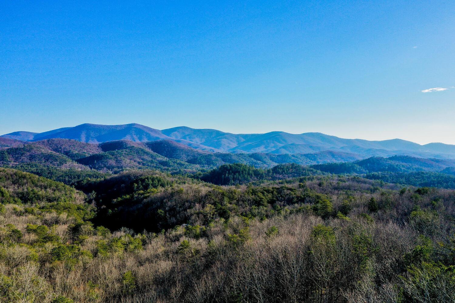Blue Ridge Bliss- Spacious Cabin, Pets, Hot Tub! Kültér fotó